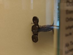 Franziskanermuseum Villingen-Schwenningen 2024